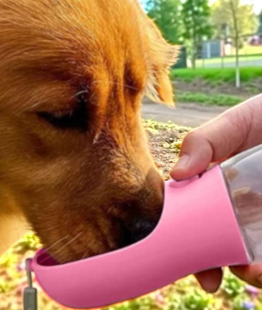 Bebedero portátil para mascotas 550ML